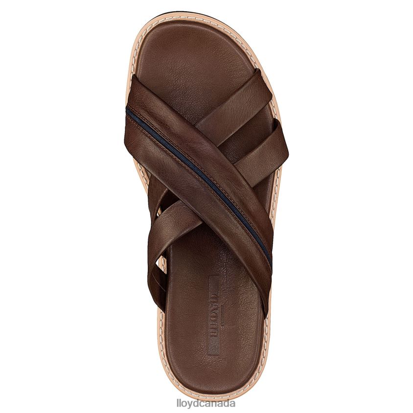 EDVINO LLOYD Men brown R084ZF584 Shoes