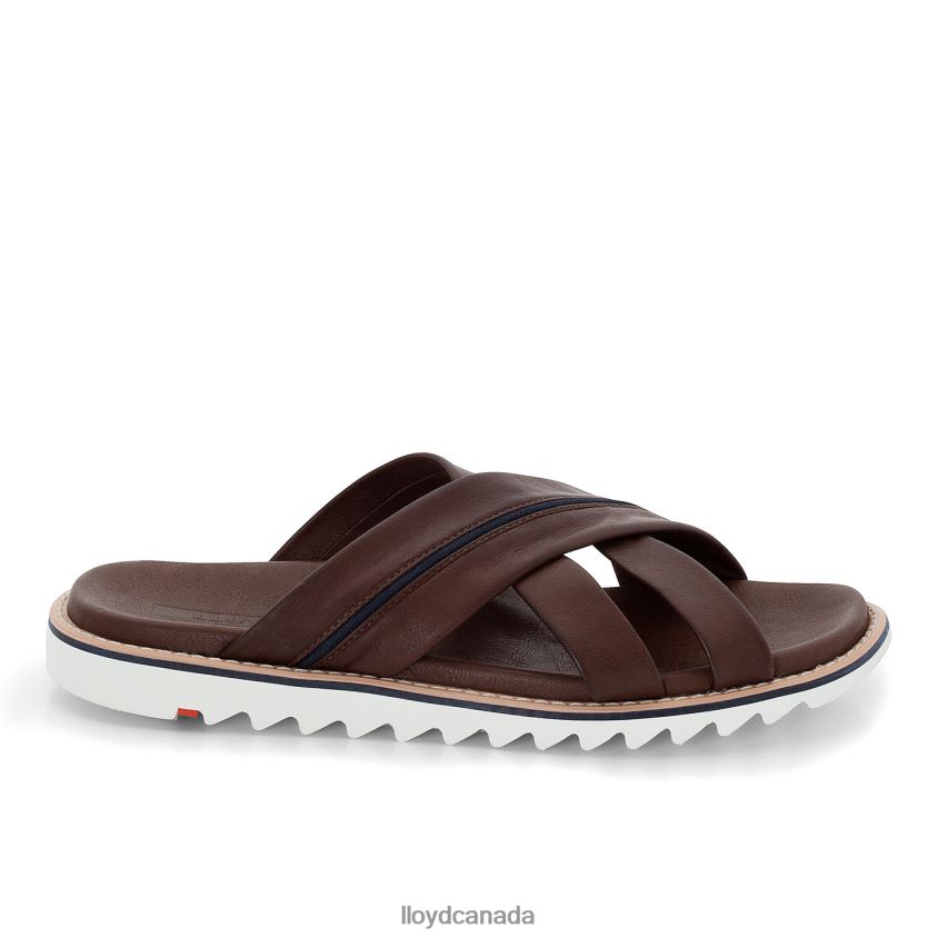 EDVINO LLOYD Men brown R084ZF584 Shoes