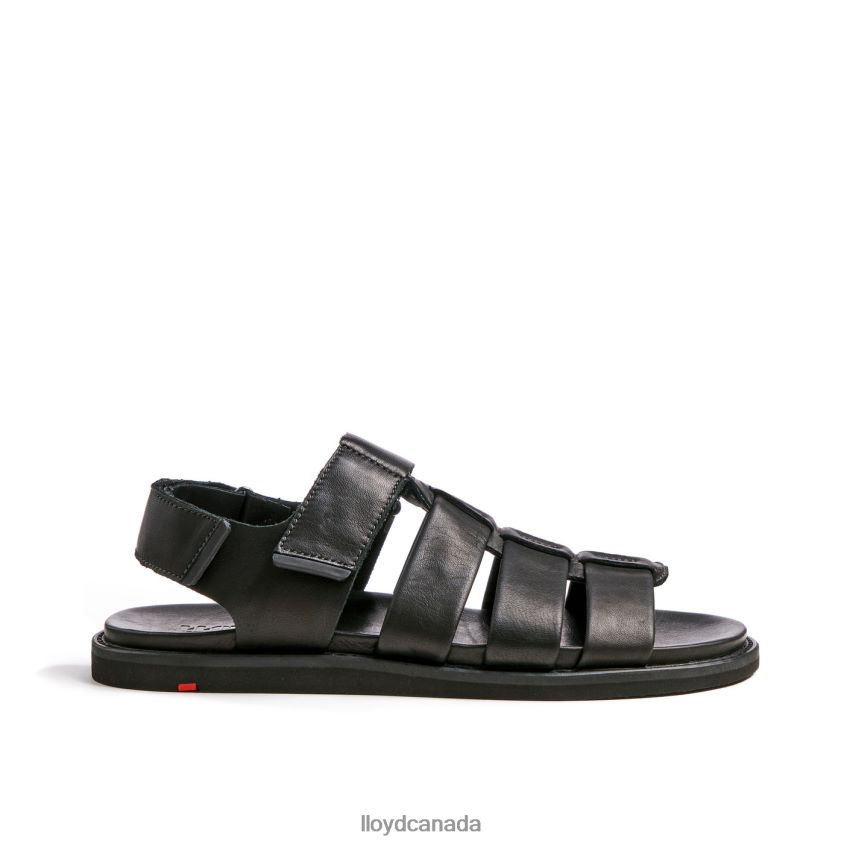 ELIMAR LLOYD Men black R084ZF580 Shoes
