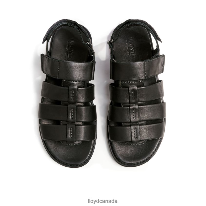 ELIMAR LLOYD Men black R084ZF580 Shoes