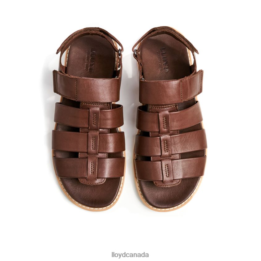 ELIMAR LLOYD Men brown R084ZF583 Shoes