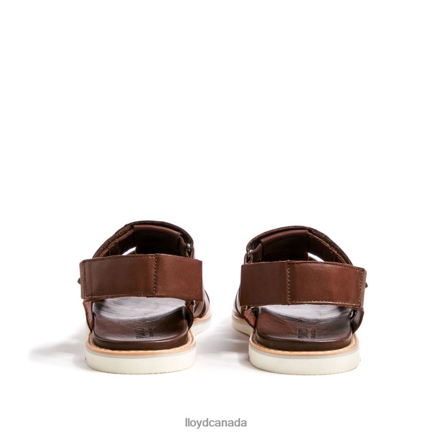 ELIMAR LLOYD Men brown R084ZF583 Shoes