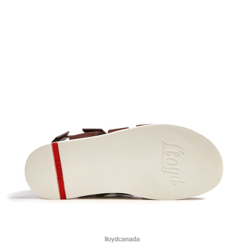 ELIMAR LLOYD Men brown R084ZF583 Shoes