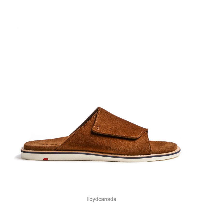 ELIOS LLOYD Men brown R084ZF581 Shoes