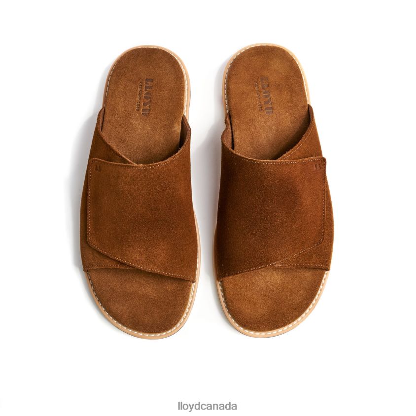 ELIOS LLOYD Men brown R084ZF581 Shoes