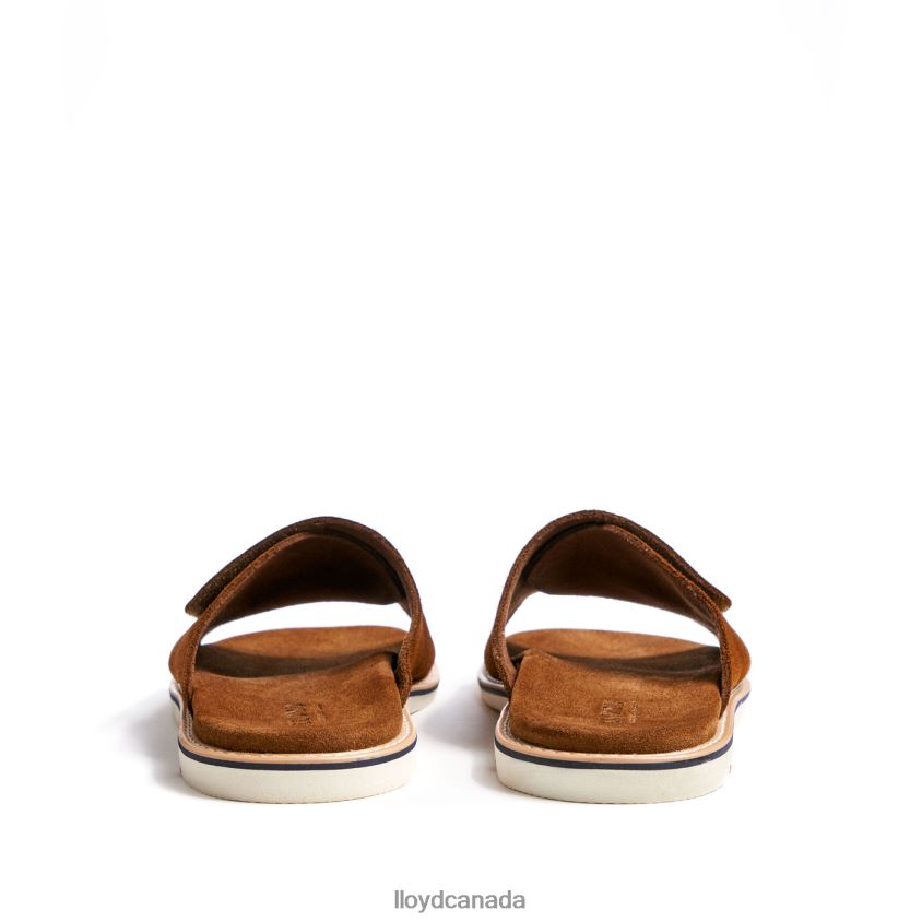 ELIOS LLOYD Men brown R084ZF581 Shoes