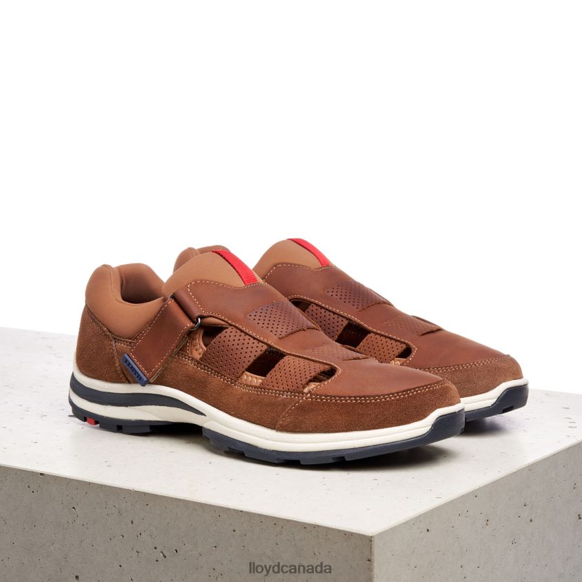 ELRADO LLOYD Men brown R084ZF625 Shoes