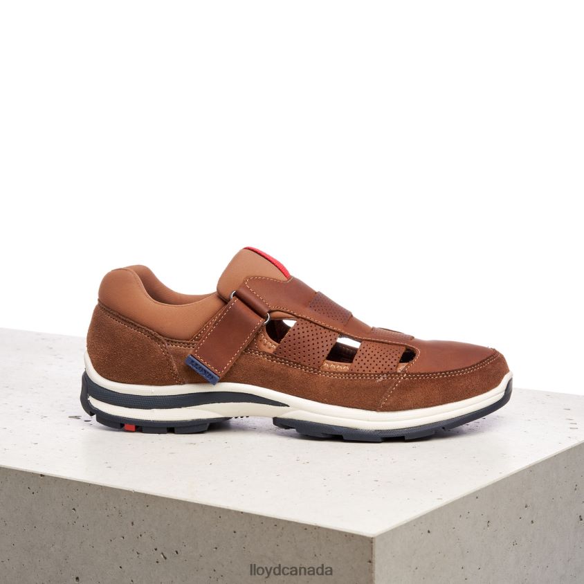 ELRADO LLOYD Men brown R084ZF625 Shoes