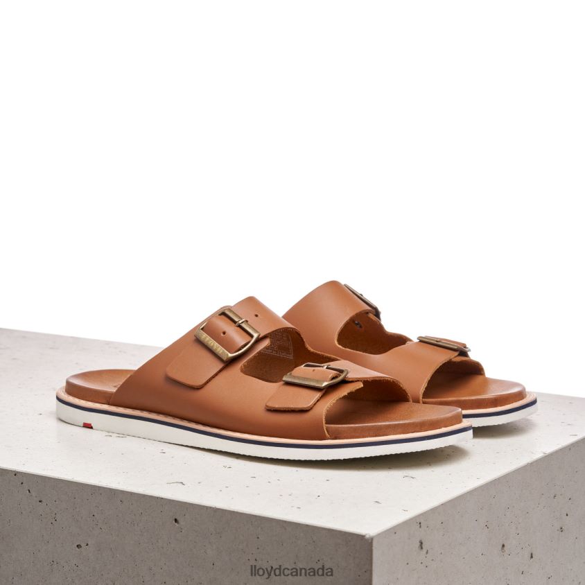 EMERSON LLOYD Men brown R084ZF579 Shoes
