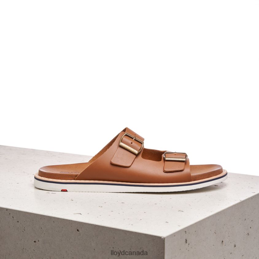 EMERSON LLOYD Men brown R084ZF579 Shoes