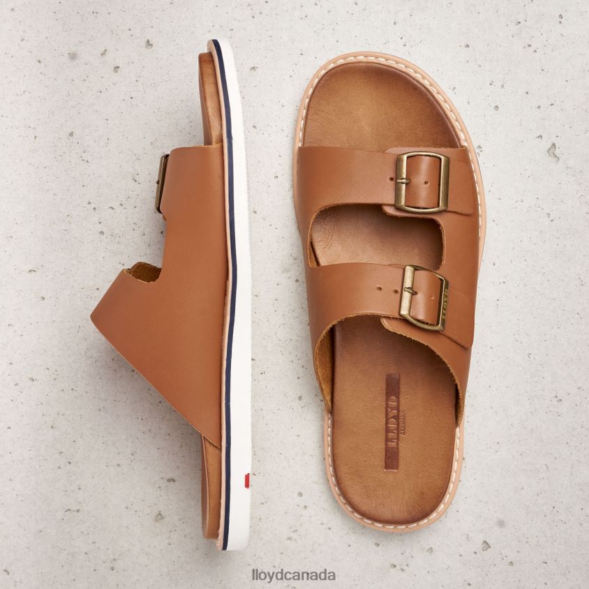 EMERSON LLOYD Men brown R084ZF579 Shoes