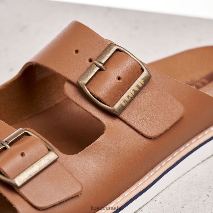 EMERSON LLOYD Men brown R084ZF579 Shoes