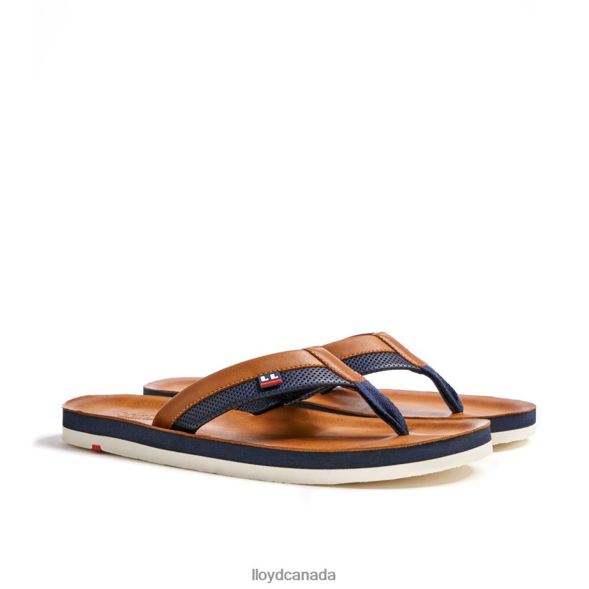 FLIP FLOP LLOYD Men brown R084ZF718 Shoes