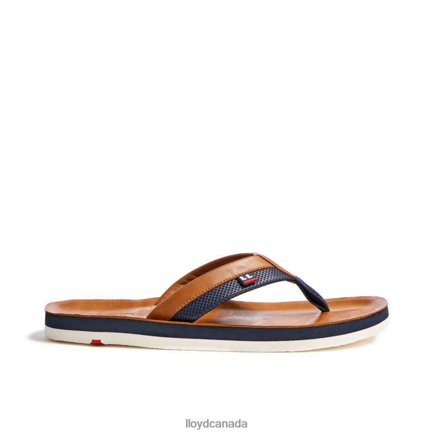 FLIP FLOP LLOYD Men brown R084ZF718 Shoes