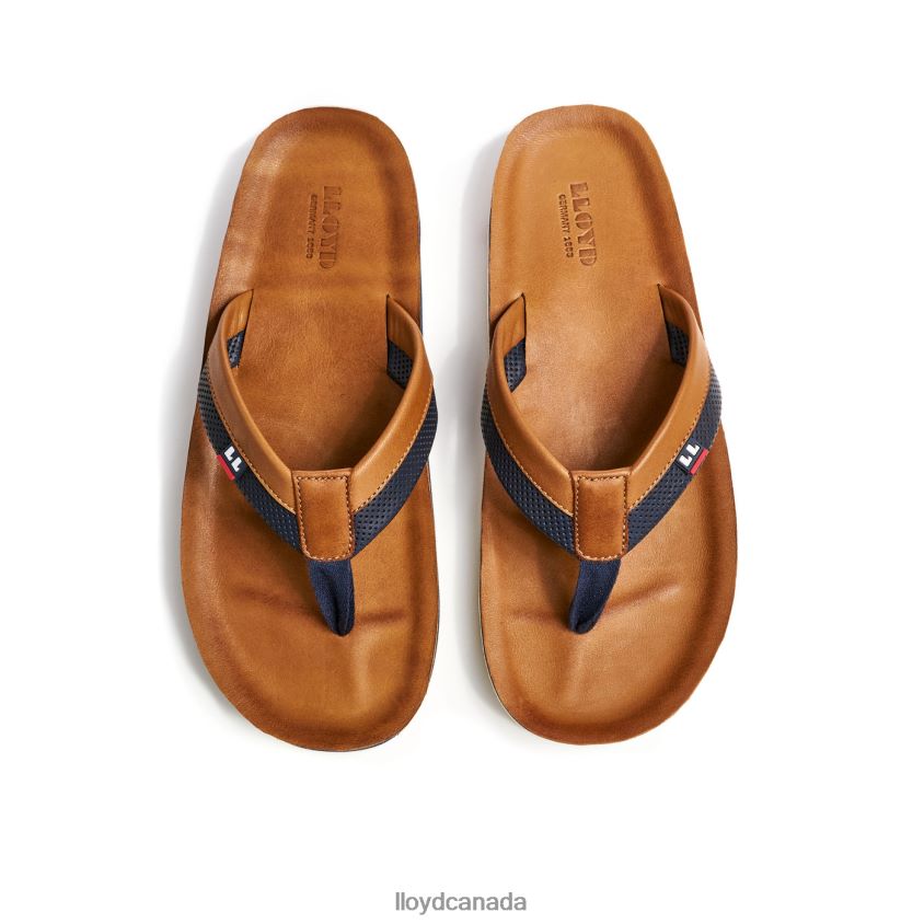 FLIP FLOP LLOYD Men brown R084ZF718 Shoes