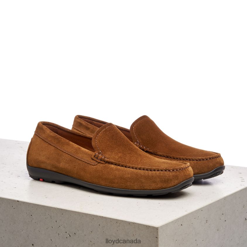 EMILIO LLOYD Men brown R084ZF596 Shoes