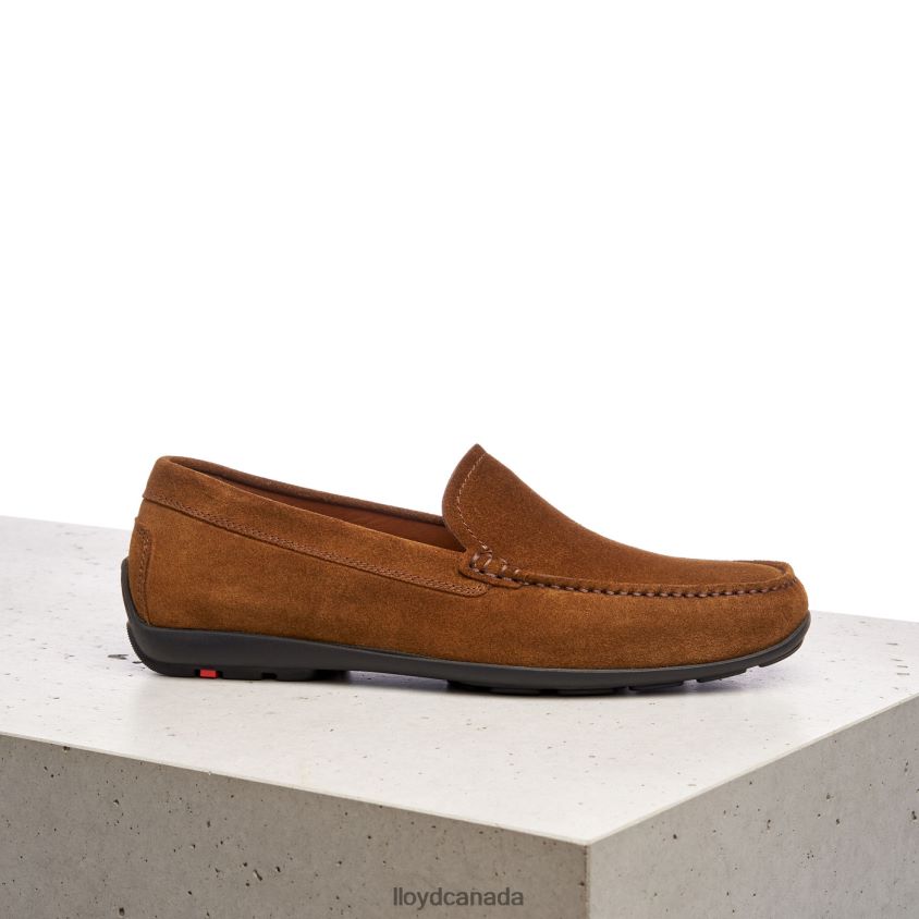 EMILIO LLOYD Men brown R084ZF596 Shoes