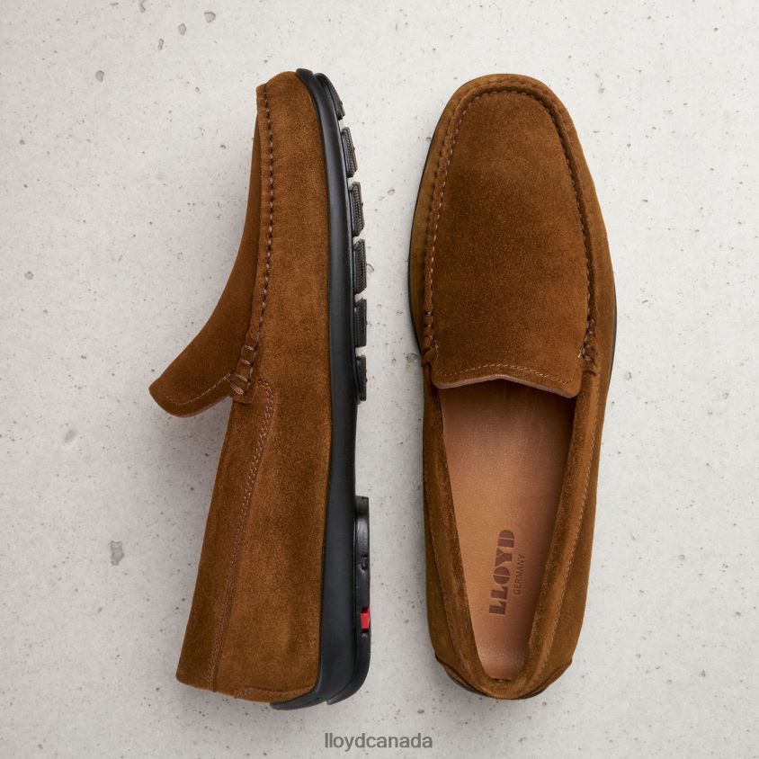 EMILIO LLOYD Men brown R084ZF596 Shoes