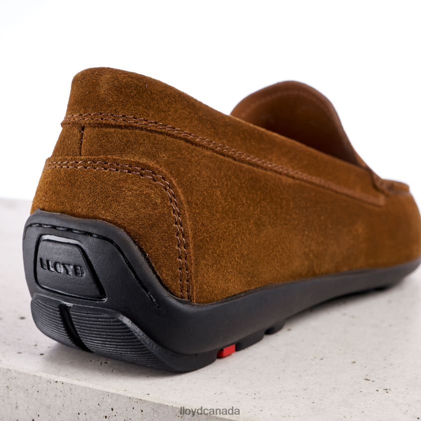 EMILIO LLOYD Men brown R084ZF596 Shoes