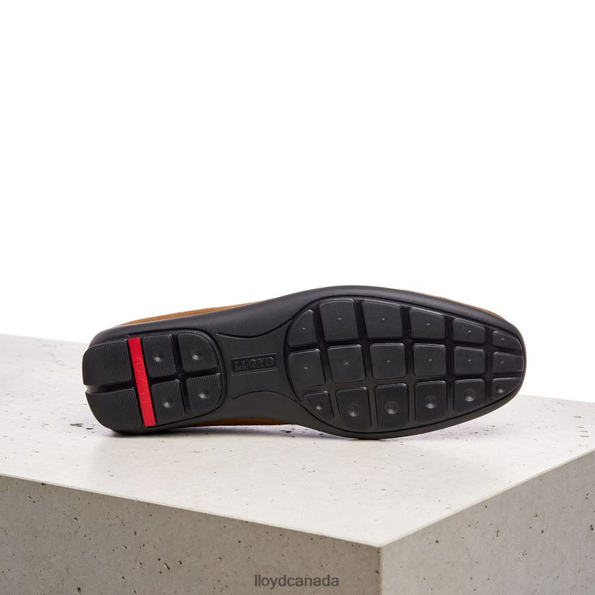 EMILIO LLOYD Men brown R084ZF596 Shoes