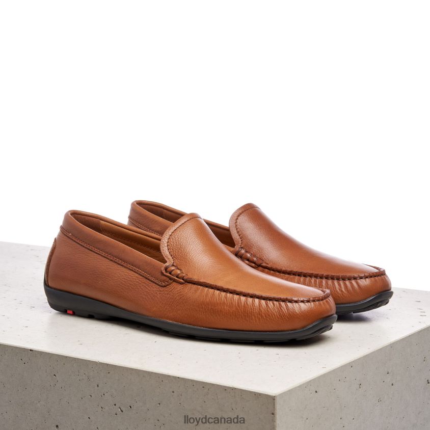 EMILIO LLOYD Men brown R084ZF603 Shoes