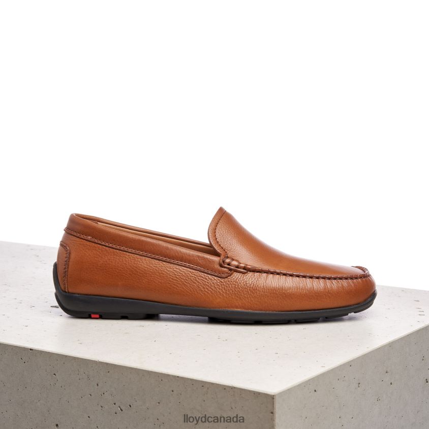 EMILIO LLOYD Men brown R084ZF603 Shoes