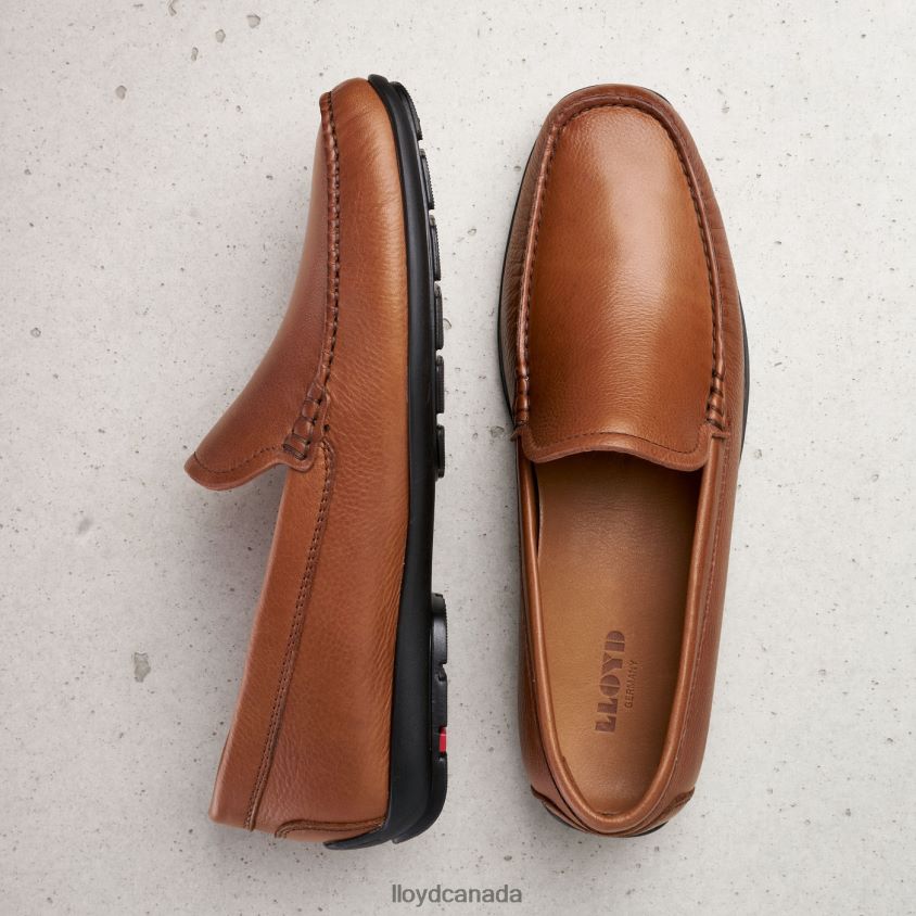 EMILIO LLOYD Men brown R084ZF603 Shoes
