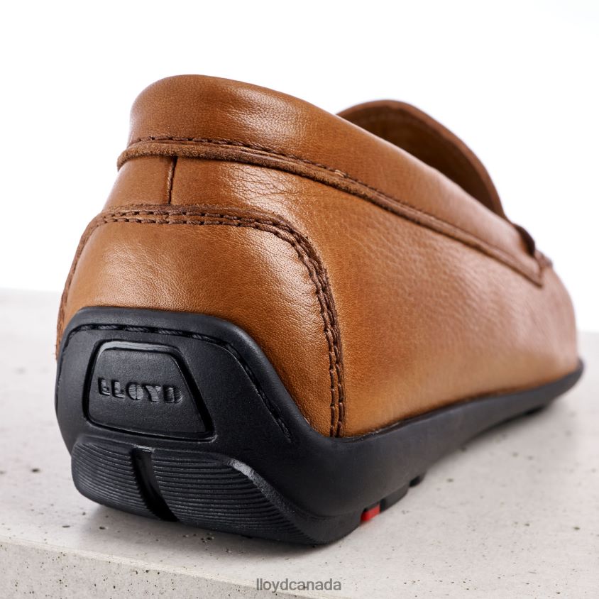 EMILIO LLOYD Men brown R084ZF603 Shoes