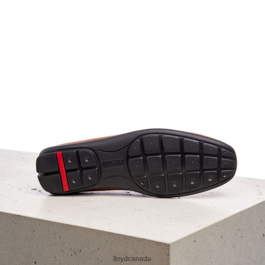 EMILIO LLOYD Men brown R084ZF603 Shoes