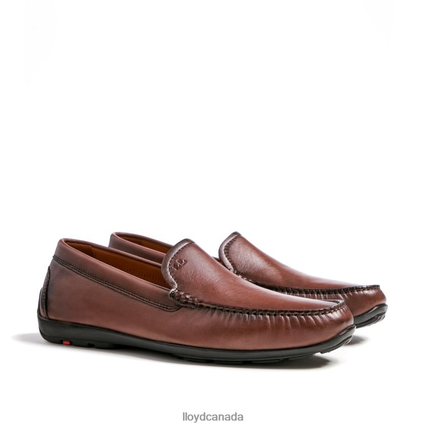 EMILIO LLOYD Men brown R084ZF618 Shoes