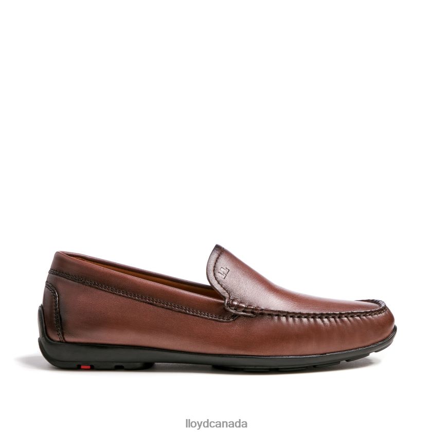 EMILIO LLOYD Men brown R084ZF618 Shoes