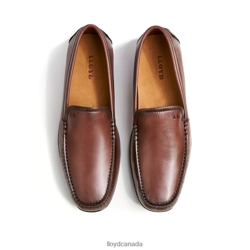 EMILIO LLOYD Men brown R084ZF618 Shoes