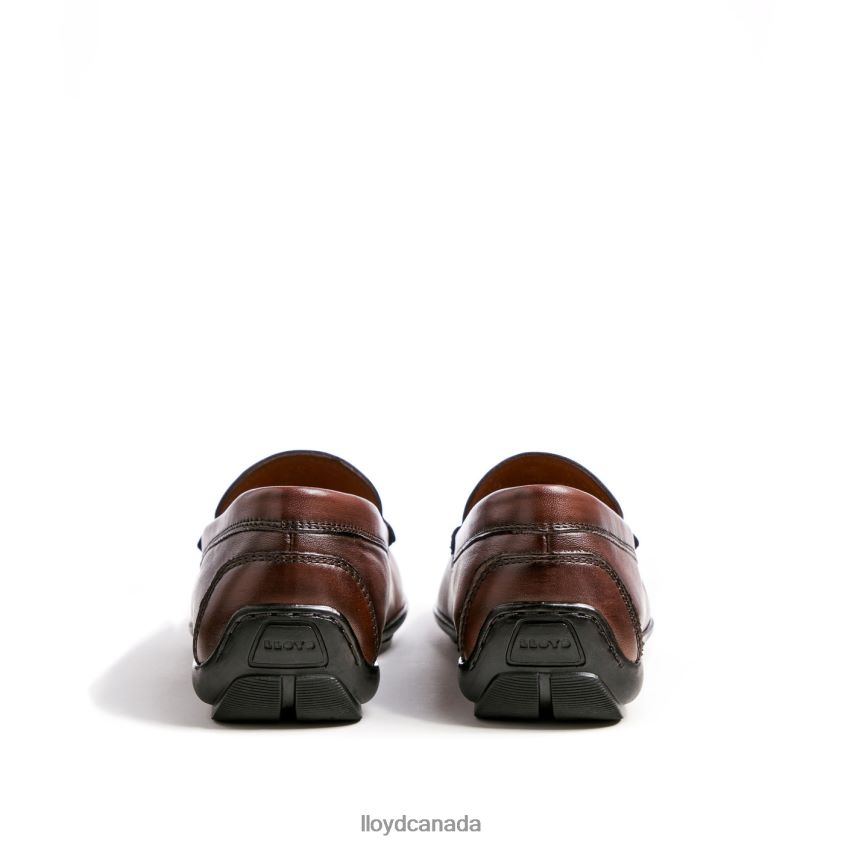 EMILIO LLOYD Men brown R084ZF618 Shoes