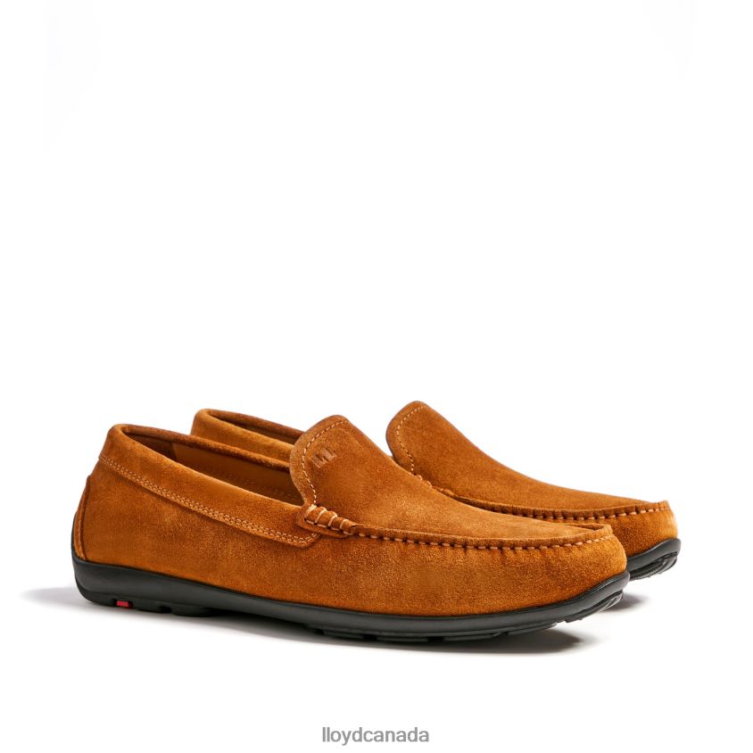 EMILIO LLOYD Men brown R084ZF620 Shoes