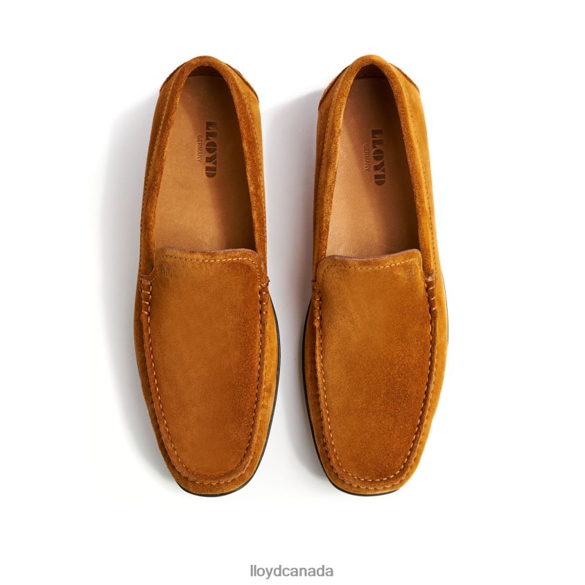 EMILIO LLOYD Men brown R084ZF620 Shoes