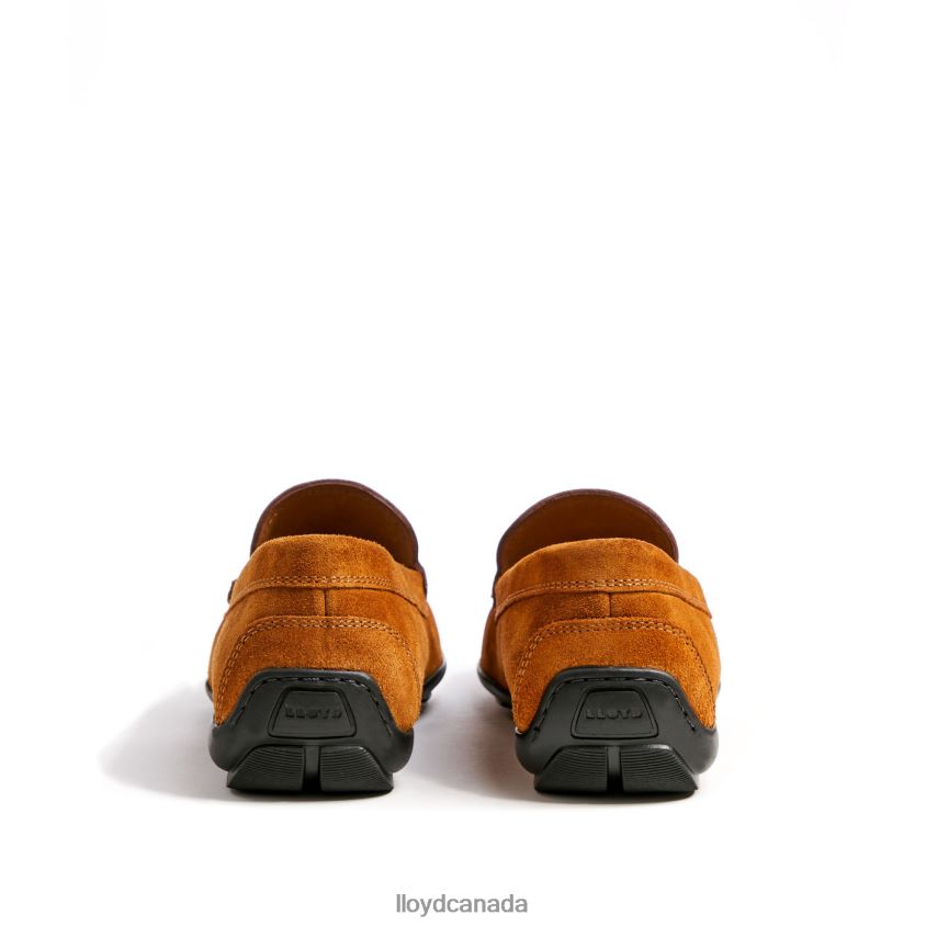 EMILIO LLOYD Men brown R084ZF620 Shoes