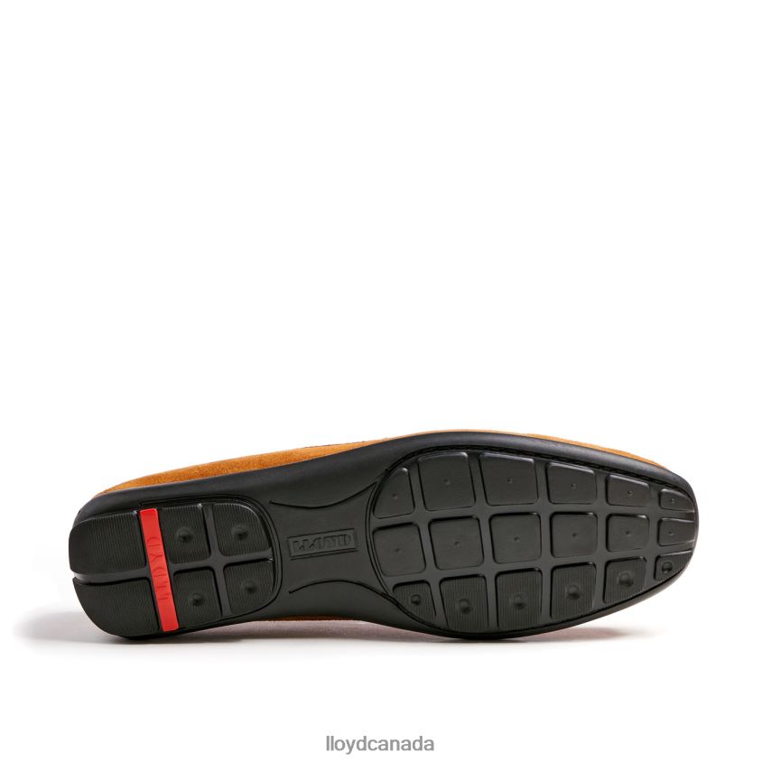 EMILIO LLOYD Men brown R084ZF620 Shoes