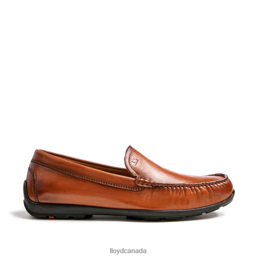 EMILIO LLOYD Men brown R084ZF621 Shoes