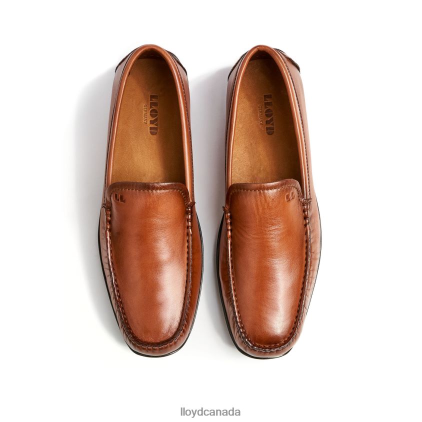 EMILIO LLOYD Men brown R084ZF621 Shoes