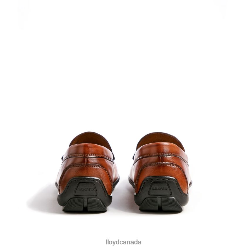 EMILIO LLOYD Men brown R084ZF621 Shoes