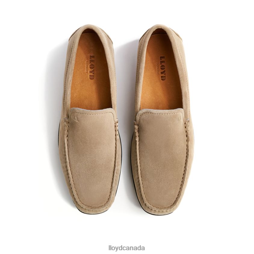 EMILIO LLOYD Men grey R084ZF615 Shoes