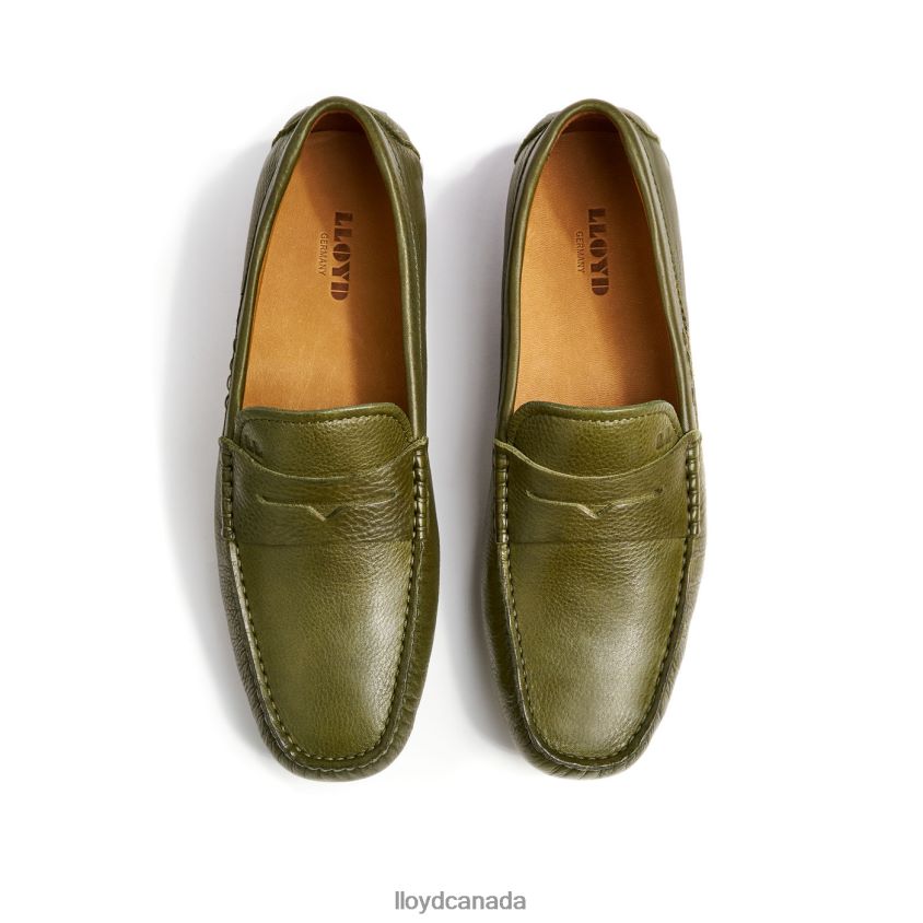 EMMO LLOYD Men green R084ZF616 Shoes