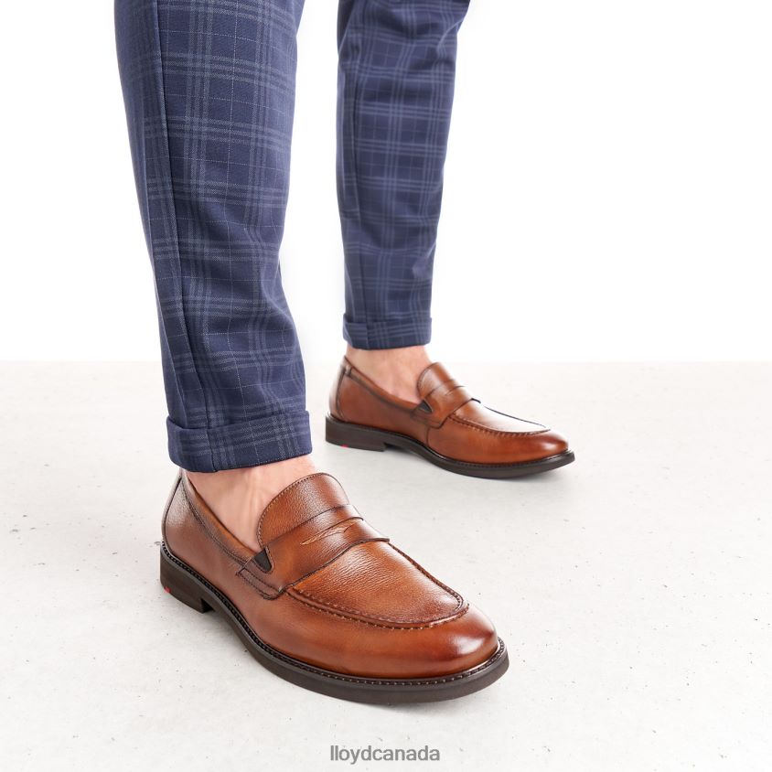 REG LLOYD Men brown R084ZF169 Shoes