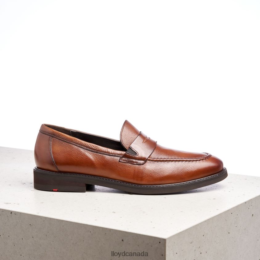 REG LLOYD Men brown R084ZF169 Shoes