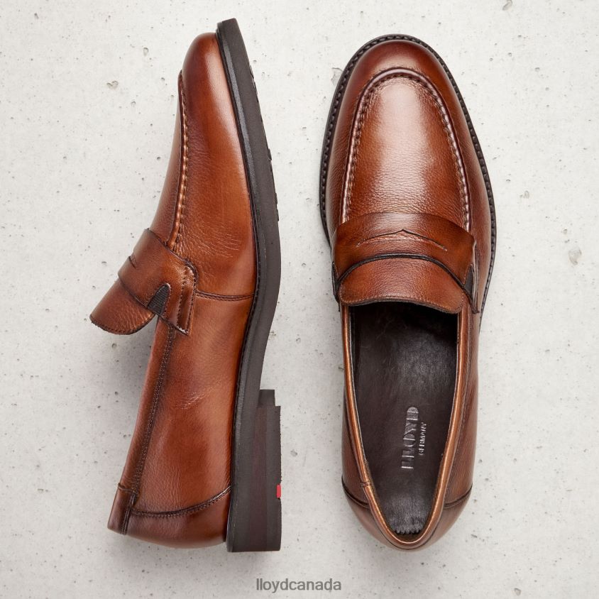 REG LLOYD Men brown R084ZF169 Shoes