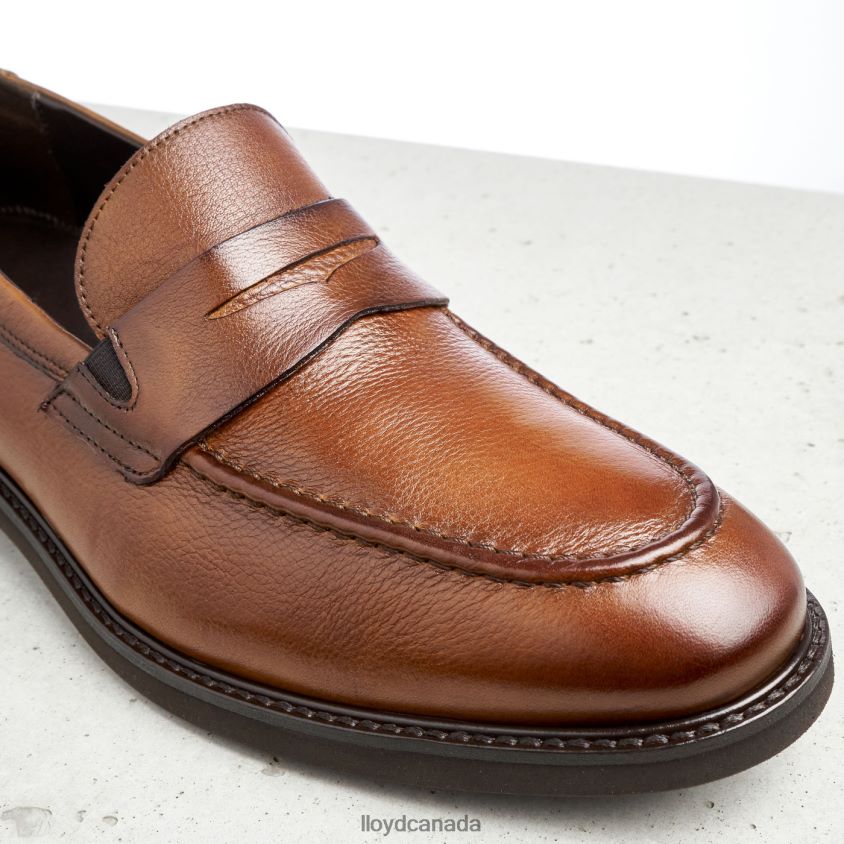REG LLOYD Men brown R084ZF169 Shoes