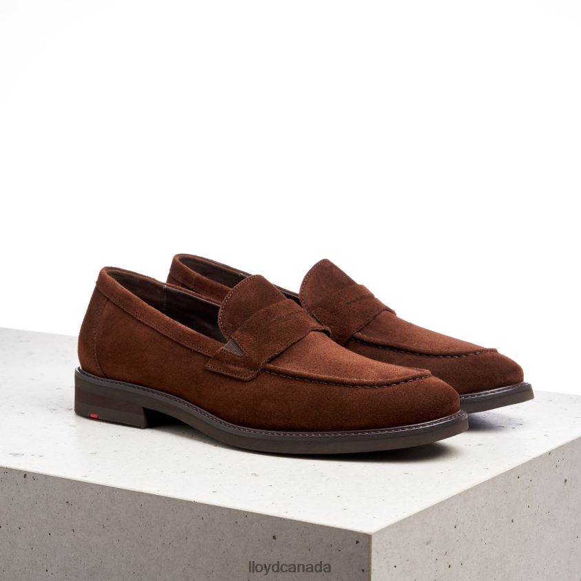 REG LLOYD Men brown R084ZF183 Shoes