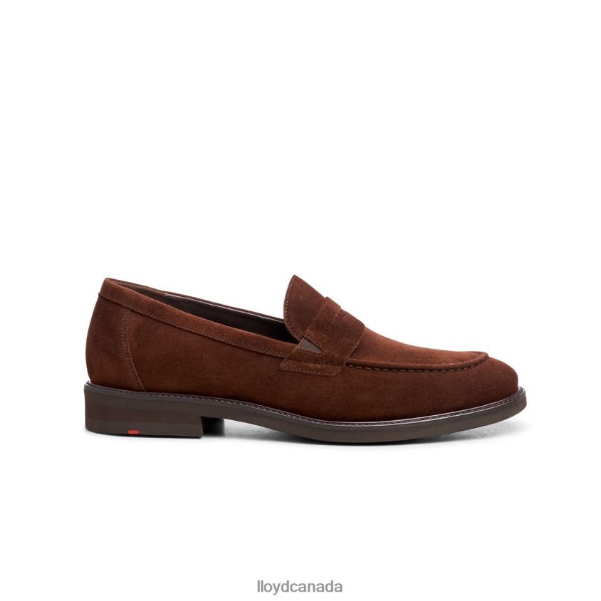 REG LLOYD Men brown R084ZF183 Shoes