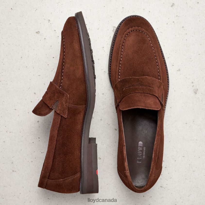 REG LLOYD Men brown R084ZF183 Shoes