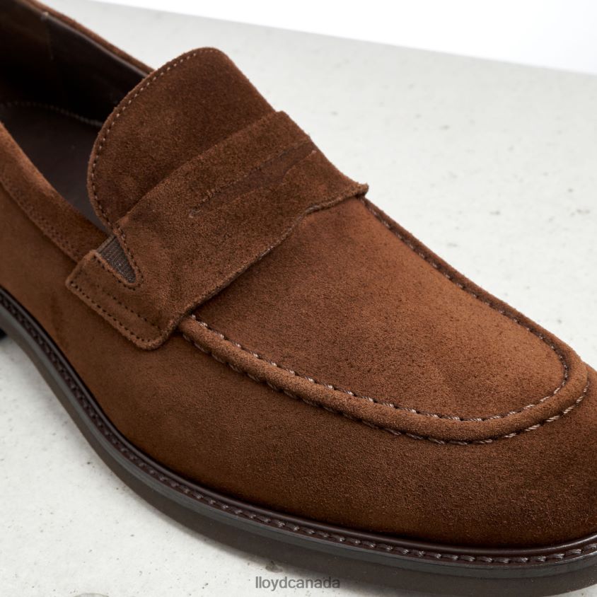 REG LLOYD Men brown R084ZF183 Shoes